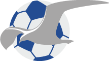 Haugesund's team badge