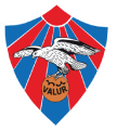 Valur Reykjavik's team badge