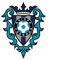 Avispa Fukuoka's team badge